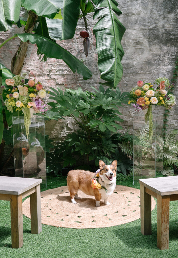 Best Dog at Mudhouse Specialty Coffee Roasters micro wedding venue