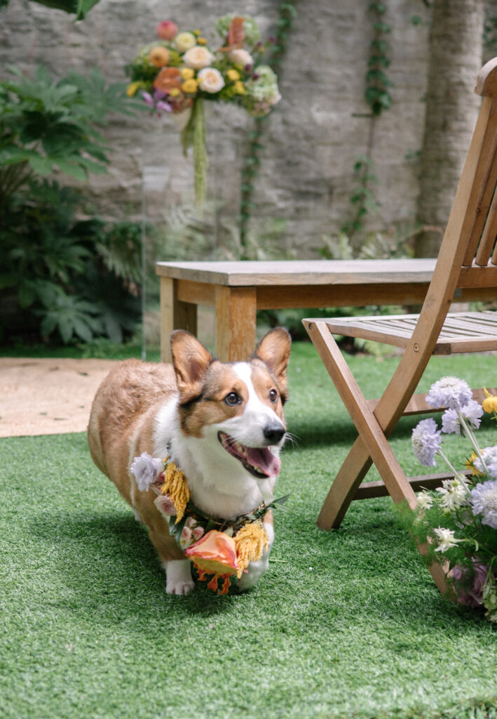 Best Dog at Mudhouse Specialty Coffee Roasters micro wedding venue