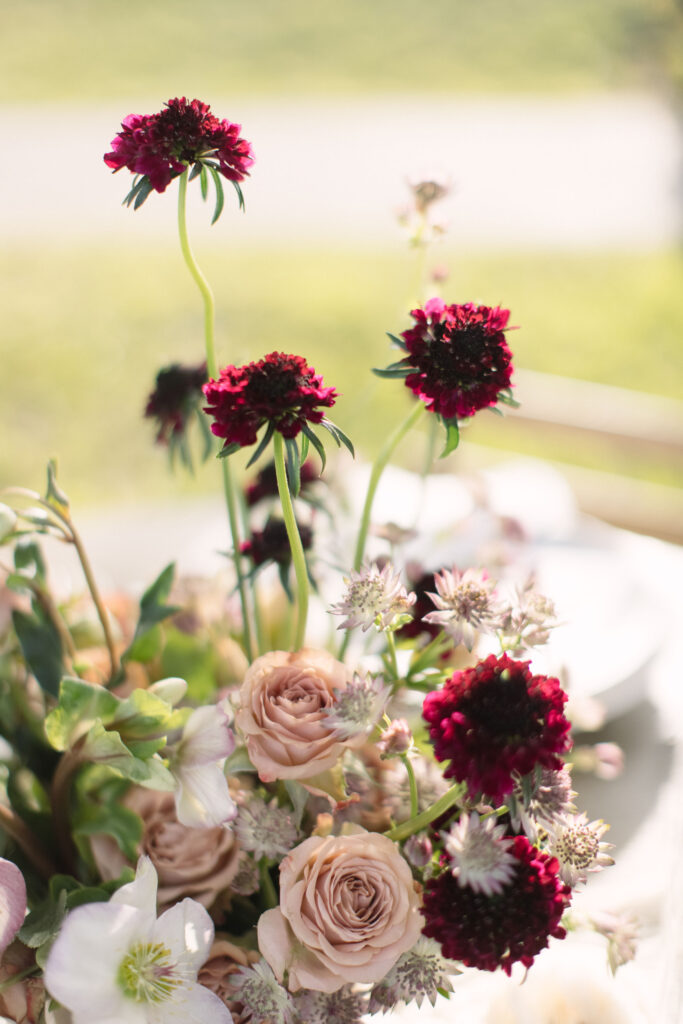 backyard wedding ideas