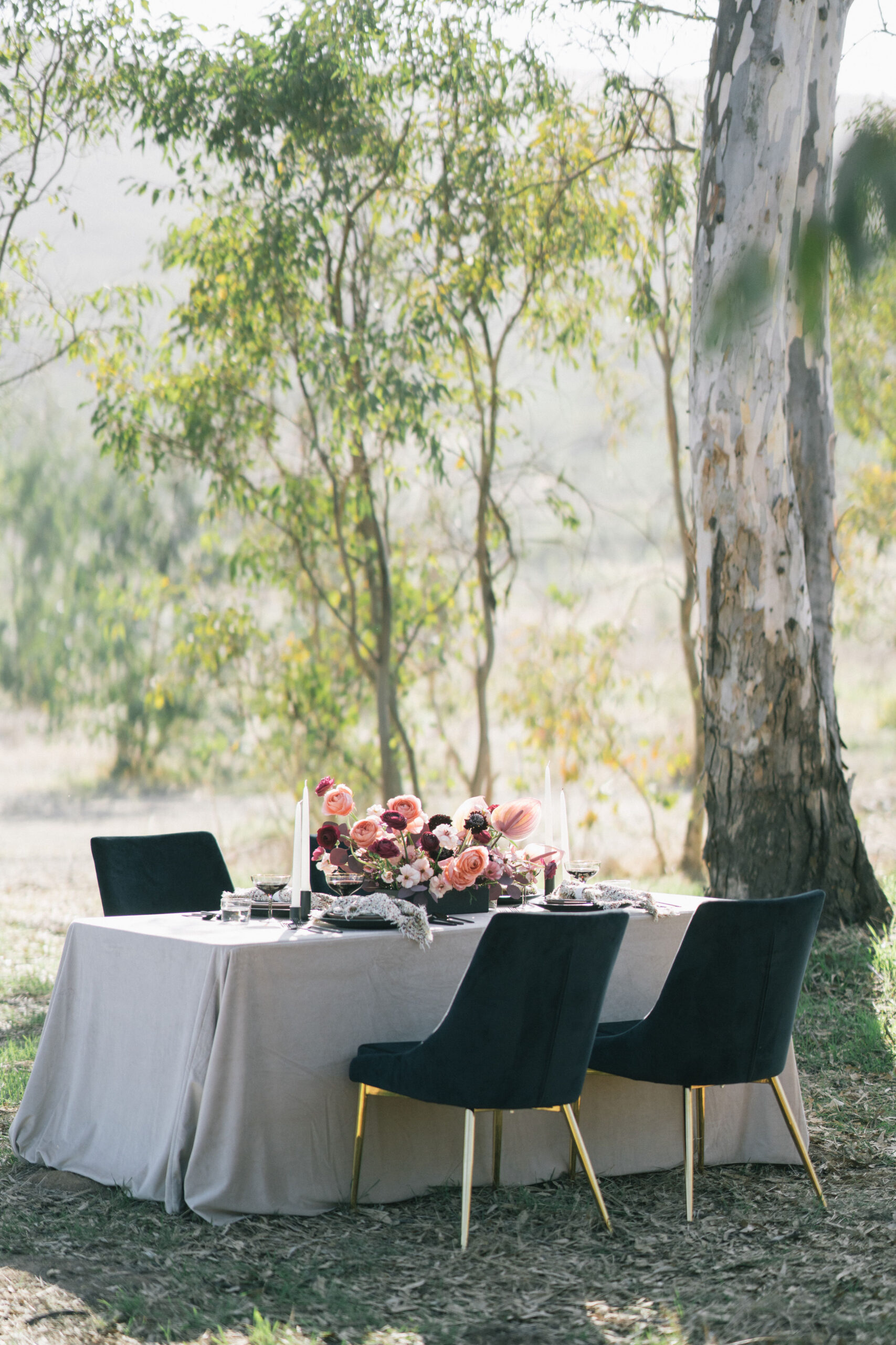 backyard wedding ideas