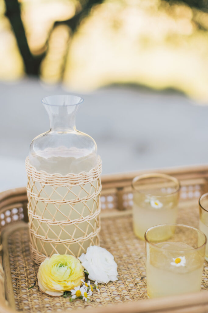 summer engagement party